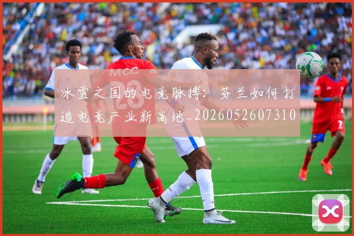 冰雪之国的电竞脉搏：芬兰如何打造电竞产业新高地_20260526073104