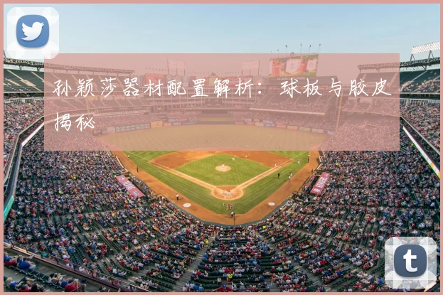 孙颖莎器材配置解析:球板与胶皮揭秘