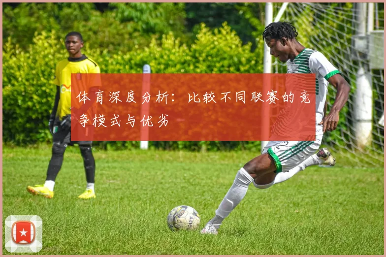 体育深度分析：比较不同联赛的竞争模式与优劣