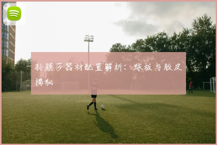 孙颖莎器材配置解析：球板与胶皮揭秘